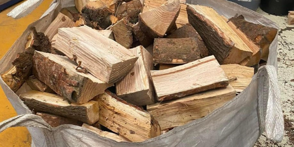 fresh cut logs falkirk